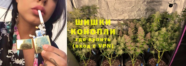 эйфоретик Аркадак