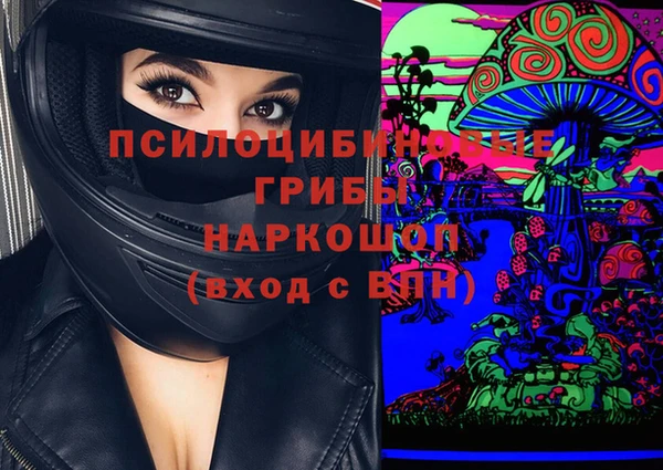 соль ск Приозерск