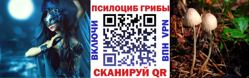 Галлюциногенные грибы мухоморы Гудермес