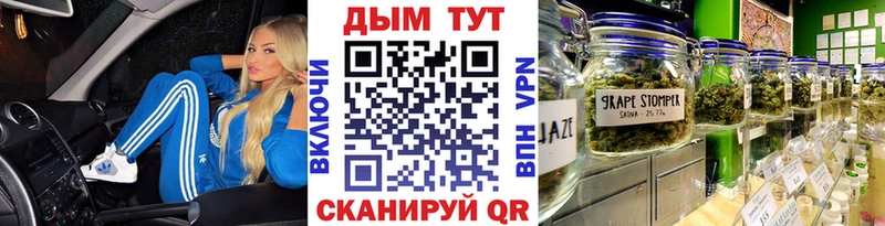 omg как войти  Гудермес  Конопля планчик 